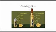 Bullet Comparison | Calibers and Bullet Measurements Explained