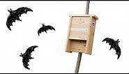 Find the best bat house & where NOT to place it