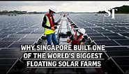 Why Singapore built one of the world’s biggest floating solar farms