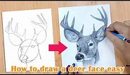 Online classes: How to draw a deer face easy