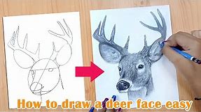 Online classes: How to draw a deer face easy