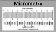 Micrometry - Measurement Of Microorganisms