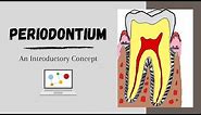 Periodontium Introductory Concepts