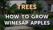 How to Grow Winesap Apples