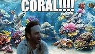 Exploring The Coral Reef With Rick Grimes (The Walking Dead)