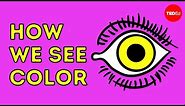 How we see color - Colm Kelleher
