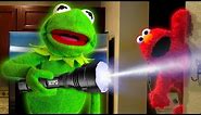 Kermit the Frog and Elmo play Hide and Seek!