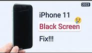 Top 3 Ways to Fix iPhone 11 Black Screen of Death 2023 (iOS 16)