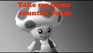 Take Me Home Country Toads
