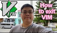How to Exit VIM
