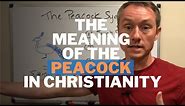 The Meaning of the Peacock Symbol in Christianity