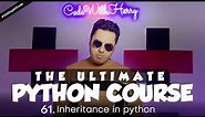 Inheritance in Python | Python Tutorial - Day #61