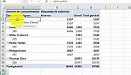 Maîtriser Les tableaux croisés dynamiques en 10 min sur Excel