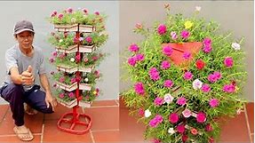 Amazing Vertical Garden, Growing Moss Roses from Cuttings for Beginners