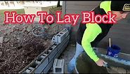 How to lay block to the line