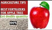 Best fertilizers for Apple tree