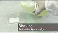 Block the Western blot membrane to reduce signal background