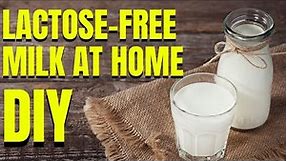 How do you make lactose free milk