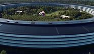  苹果 WWDC 2020 发布会转场混剪合集，带你环游Apple Park太酷了！(1080+ FHD)