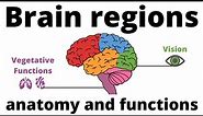 Overview of Brain regions (Anatomy & Function)