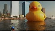 Meet the World's Largest Rubber Duckie