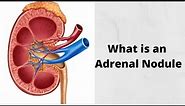 What is an Adrenal Nodule
