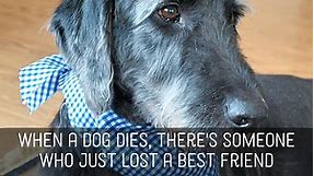 Pet Sympathy Messages: Condolences for Loss of Dogs, Cats, and Other Pets