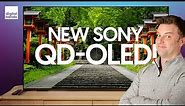 Sony 2023 TV Lineup | QD-OLED, Mini-LED First Look