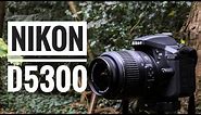 Nikon D5300 Kit - Ideal DSLR for Beginners?