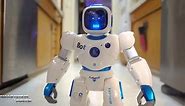 Ruko Carle 1088 Smart Programmable RC Robot Review