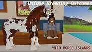 Unique Outcomes/Special Coats | Combinations & Breeding [WHI/WILD HORSE ISLANDS]