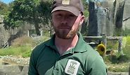 Happy National Zookeeper Week! We are doing 10 rapid fire questions with our keepers all week long! Introducing… JACOB!! #nationalzookeeperweek