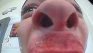 You got games on your phone (original)