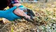 Хлористый калий: применение удобрения в саду и огороде, состав, сколько стоит, где купить