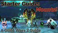 Guild Wars 2: A 𝑺𝒕𝒂𝒓𝒕𝒆𝒓 Guide on Mounts!
