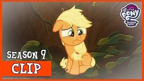 Applejack's Story with the Great Seedling (Going to Seed) | MLP: FiM [HD]