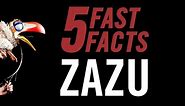 Fast Facts: Zazu