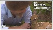 Critters and Little Rascals (Part 1) | The Joy of Painting with Bob Ross