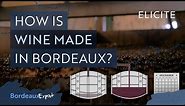 Red Winemaking in Bordeaux Explained