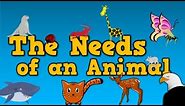 The Needs of an Animal (song for kids about 4 things animals need to survive)