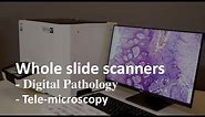 Optimus 6T - Whole Slide Scanner Demo - Digital Pathology Workflow for Tele-pathology, Archival & AI