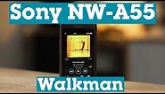 Sony NW-A55 Walkman portable high-res music player with Bluetooth | Crutchfield