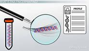 DNA Fingerprinting | Definition, Uses & Steps