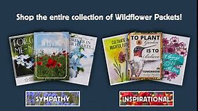 American Meadows Wildflower Seed Packets Wildflower Party Favors for All Occasions (Pack of 20) - Wildflower Seed Mix, Plant Year-Round, Great Gift for Hostesses, Showers, Weddings, Thank You
