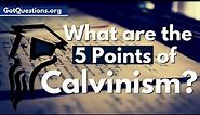 What are the 5 Points of Calvinism? | What is Calvinism and is it Biblical?