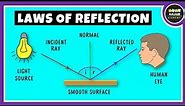 Laws of Reflection of Light, Physics