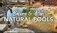 Natural Pools & Swim Ponds in California - No Chlorine or Chemicals - Aquascape System