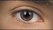 Golden Brown Contact Lenses | Amara Chai