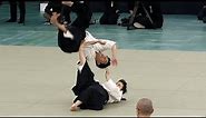 EXPLOSIVE Daito-ryu Aiki-jujutsu - 42nd Japanese Kobudo Demonstration (2019)
