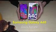 Samsung Galaxy A40: Quick Review (with specs and some features)
